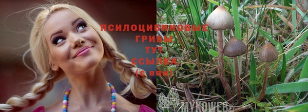 трава Балабаново
