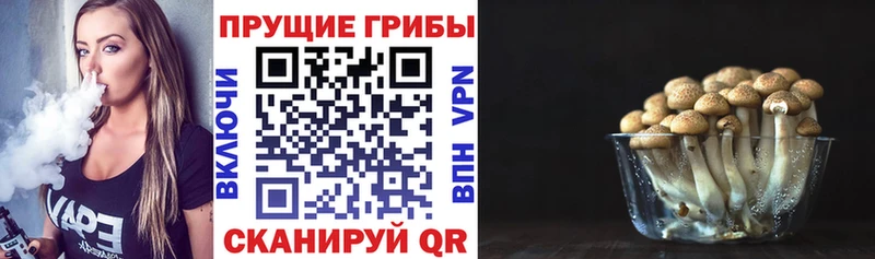 Галлюциногенные грибы GOLDEN TEACHER  купить  цена  Белебей 